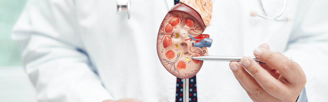 Doctor profile image